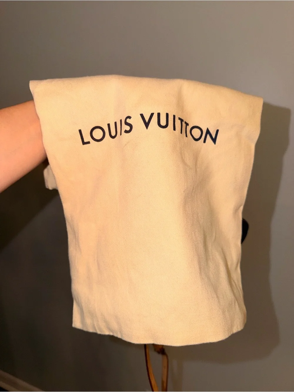 Louis Vuitton Brown Monogram Nano Speedy Bag with Strap